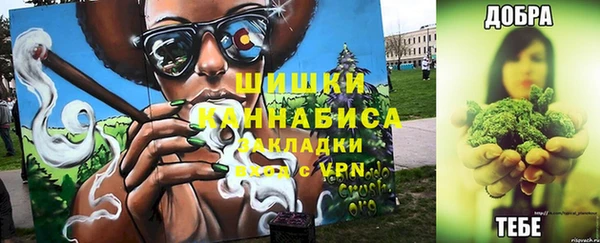 спайс Баксан